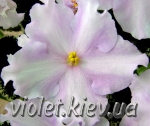 style=