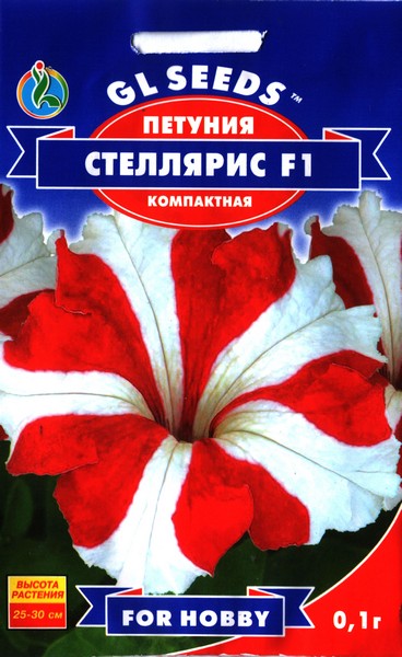 Сажаем, растим, собираем урожай…