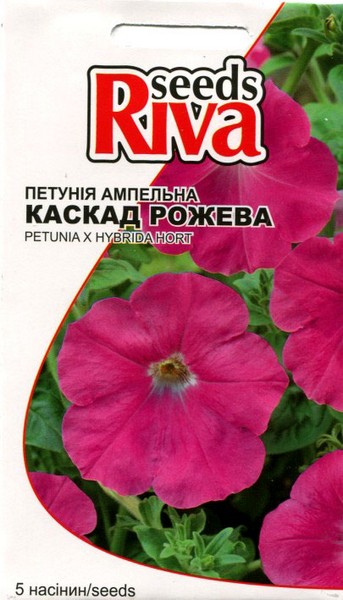 Удобрение для бегонии как для фиалок Удобрение для бегонии как для фиалок