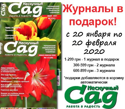 Нескучный сад (номер в подарок)